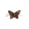 brož motýlek